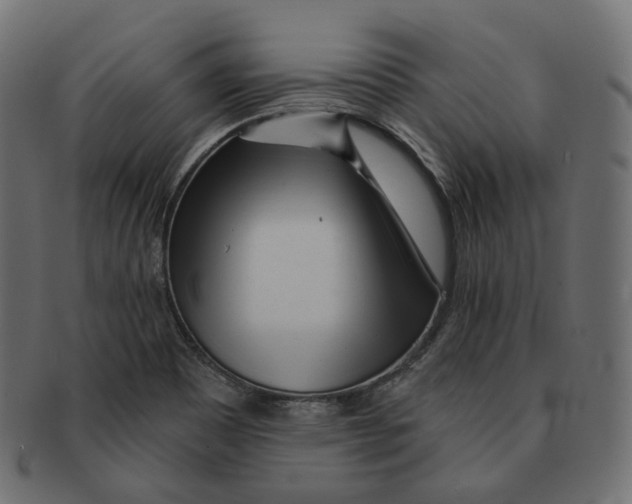 X0000091721465200709210951