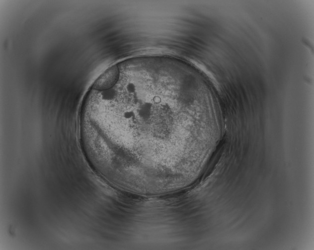 X0000091721467200709210951