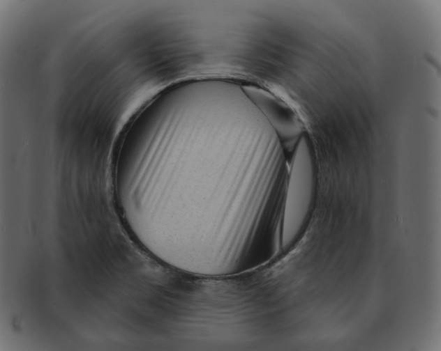 X0000091721469200709210951