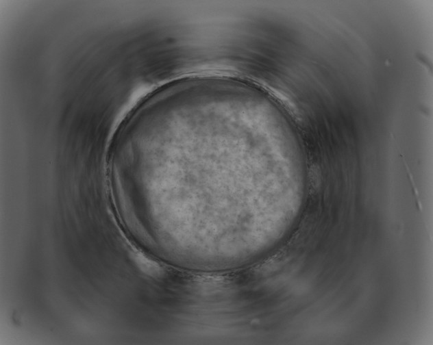 X0000091721470200709210951