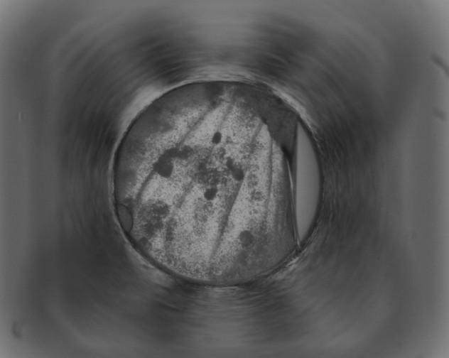 X0000091721471200709210951