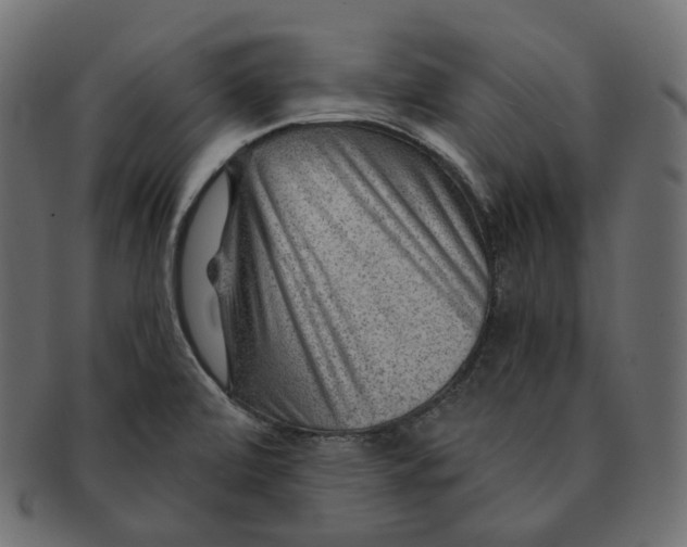 X0000091721472200709210951