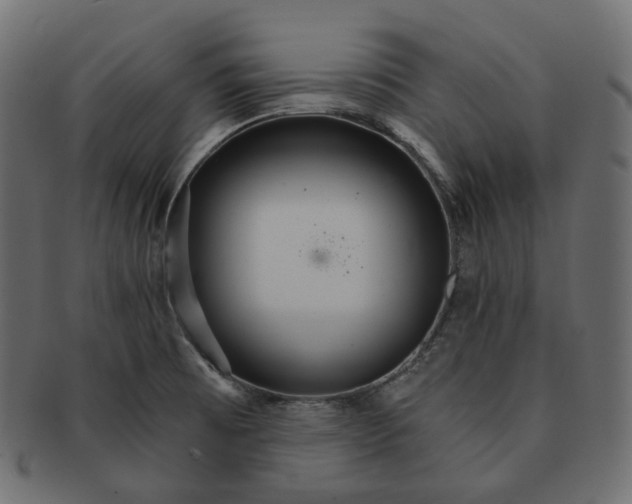 X0000091721473200709210951