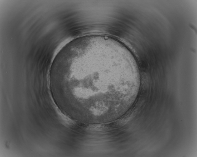 X0000091721474200709210951