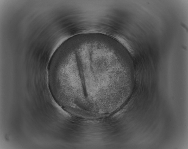 X0000091721476200709210951