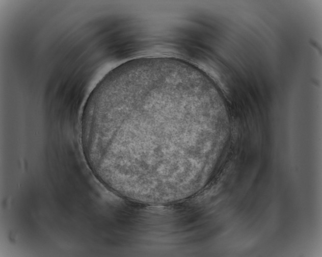 X0000091721478200709210951