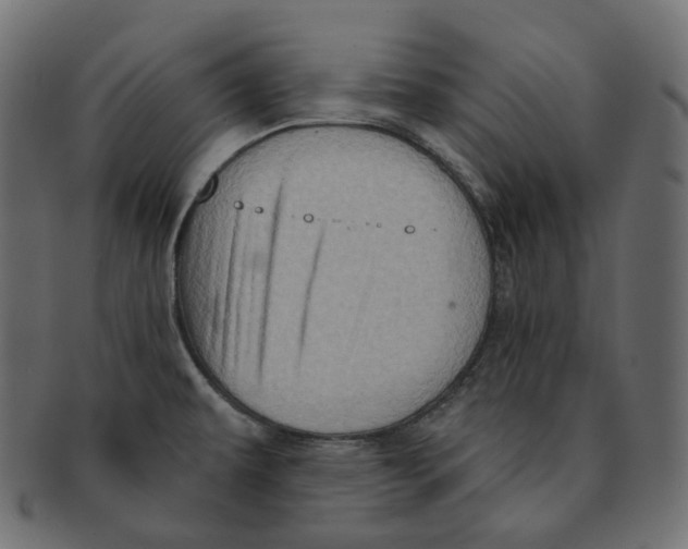 X0000091721479200709210951