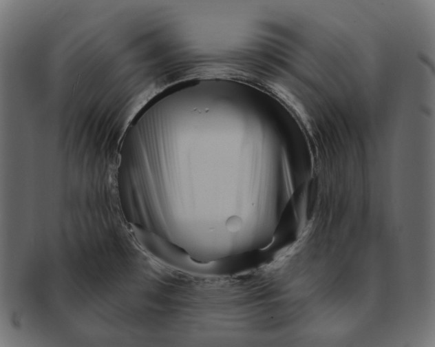 X0000091721481200709210951