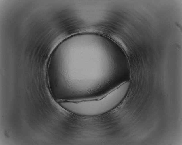 X0000091721483200709210951