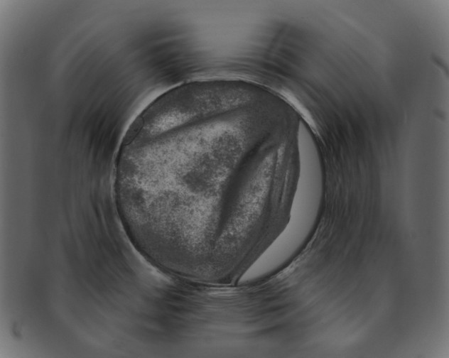 X0000091721484200709210951