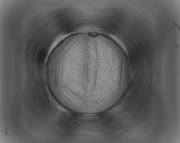 X0000091721486200709210951