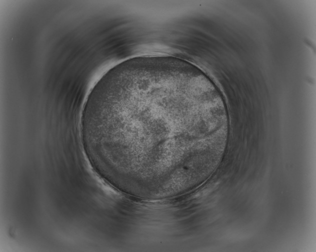 X0000091721488200709210951