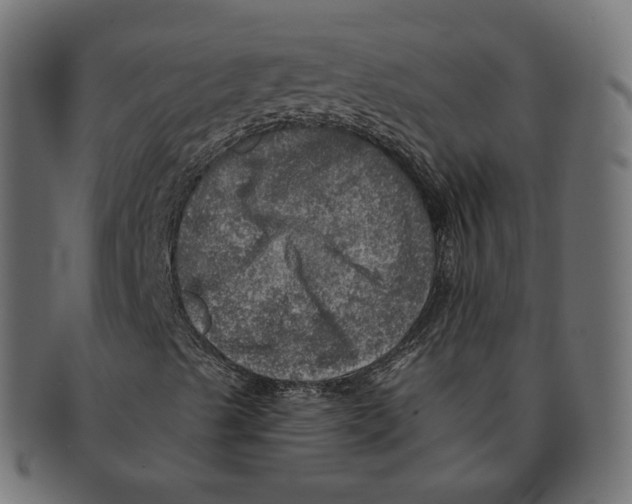 X0000091721489200709210950