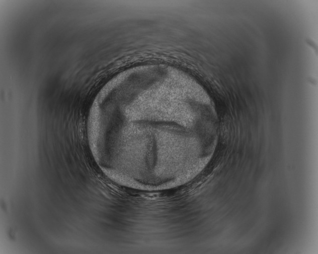 X0000091721490200709210950