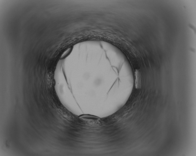 X0000091721491200709210950