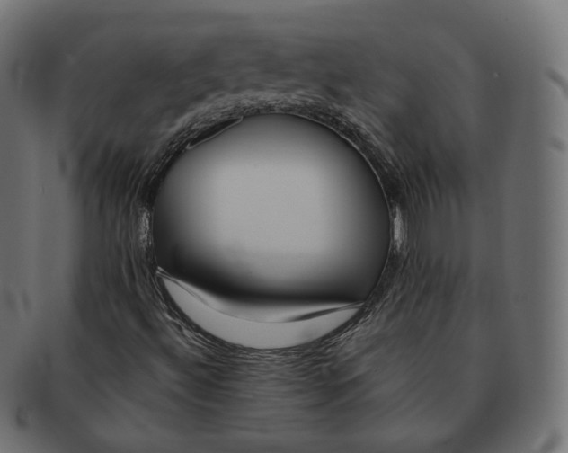 X0000091721492200709210950