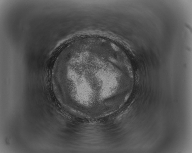 X0000091721494200709210950