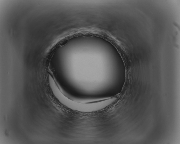 X0000091721496200709210950