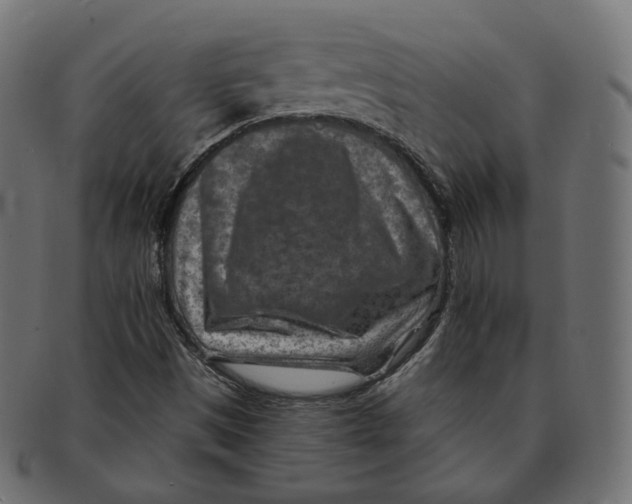 X0000091721497200709210950