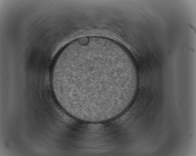 X0000091721498200709210950