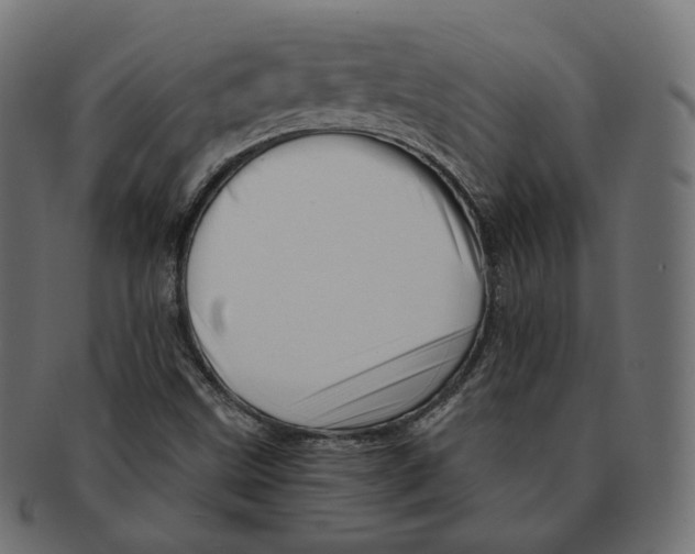 X0000091721499200709210951