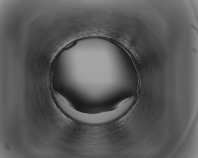 X0000091721500200709210951