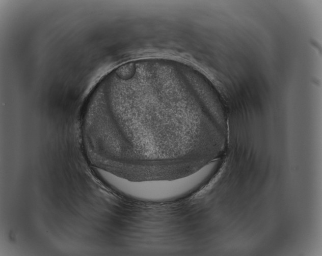 X0000091721501200709210951