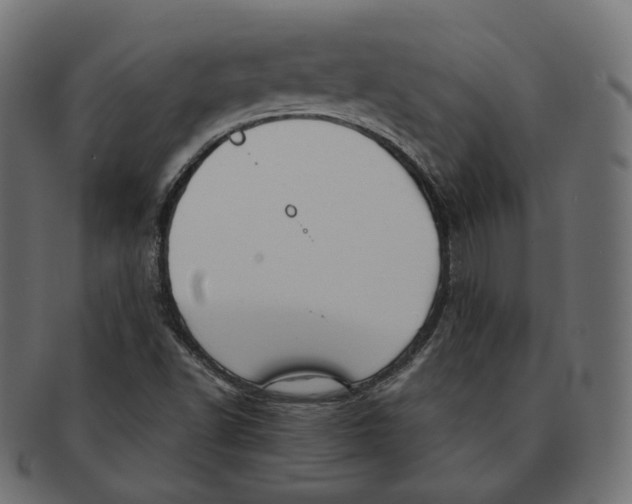 X0000091721502200709210951