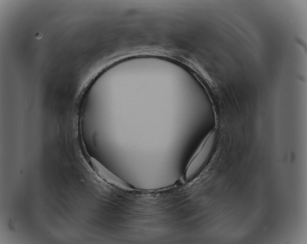 X0000091721504200709210951