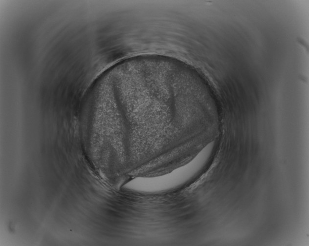 X0000091721505200709210951