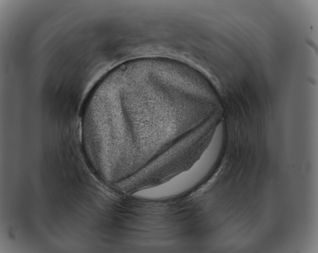 X0000091721509200709210951