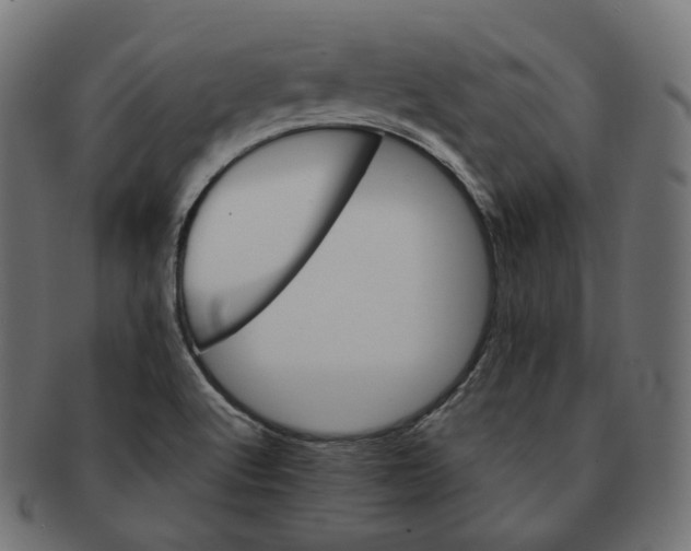 X0000091721512200709210951