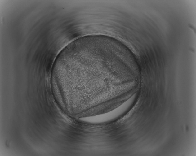 X0000091721513200709210951