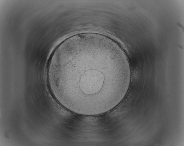 X0000091721514200709210951