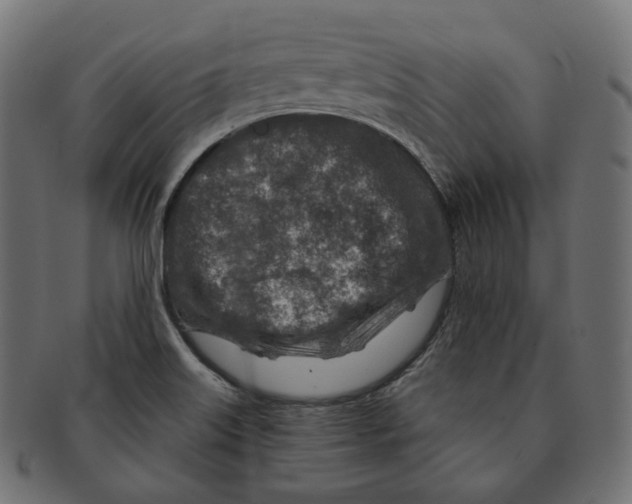 X0000091721515200709210951