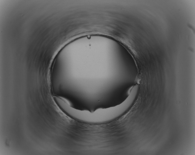 X0000091721516200709210951