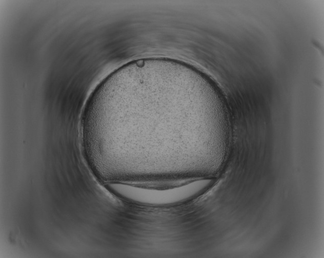 X0000091721517200709210951