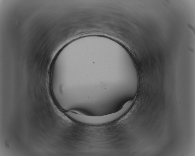 X0000091721518200709210951