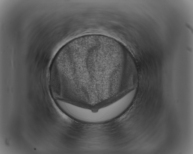 X0000091721519200709210951