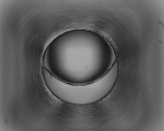 X0000091721520200709210951