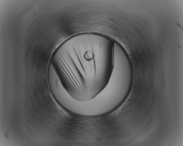 X0000091721521200709210951