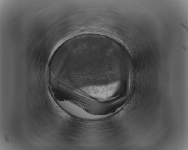 X0000091721522200709210951