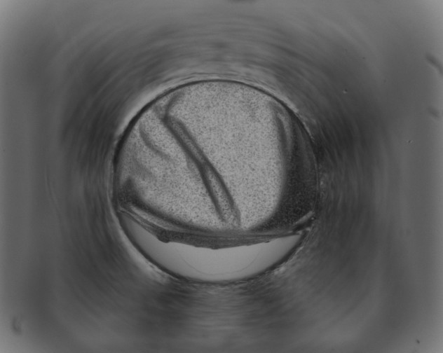 X0000091721523200709210951