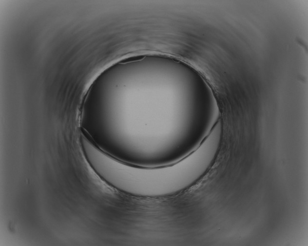 X0000091721524200709210951