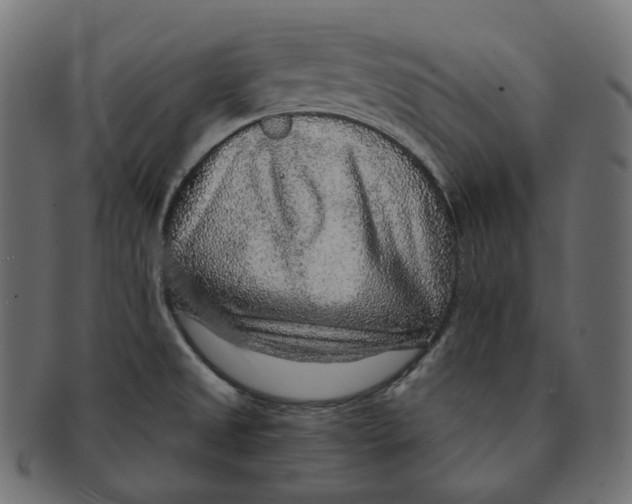 X0000091721525200709210951