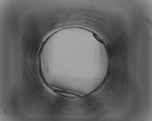 X0000091721526200709210951