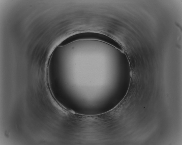 X0000091721528200709210951