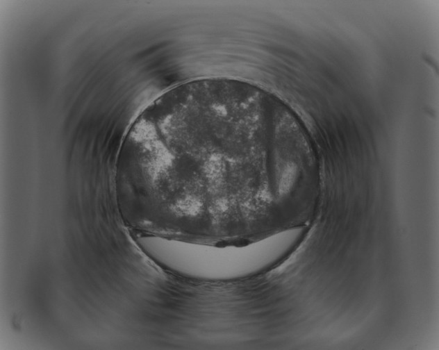 X0000091721529200709210951