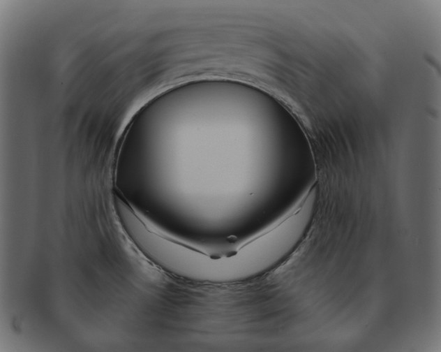 X0000091721530200709210951