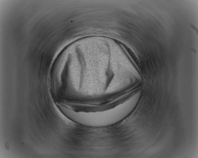 X0000091721531200709210951